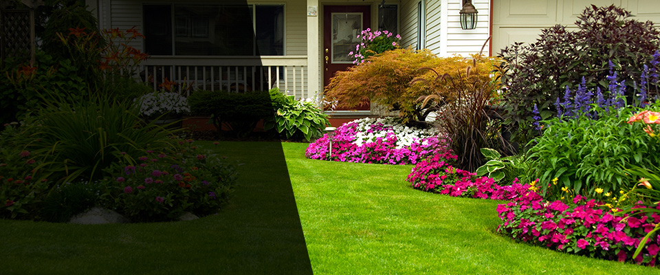 Stewartville Landscapers
