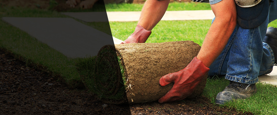 Stewartville Landscapers